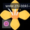 BB体育 logo