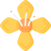 BB体育 logo